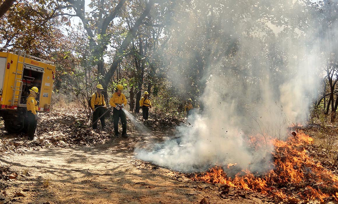 Incendios forestales dañan más de 6 mil hectáreas en Oaxaca durante 2019