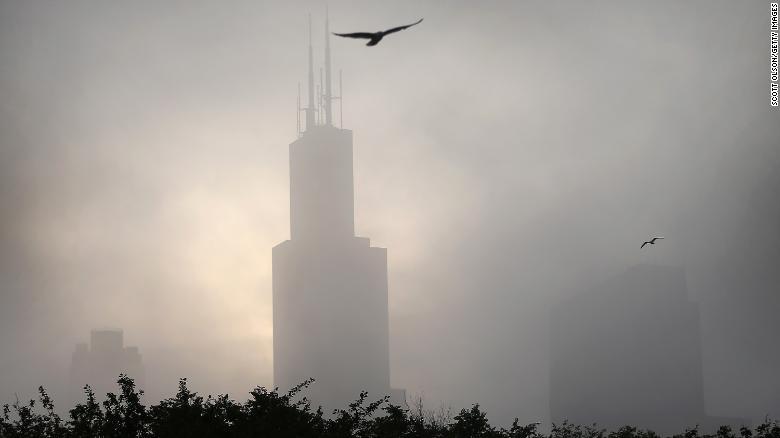 Los rascacielos de Estados Unidos matan a 600 millones de aves cada año
