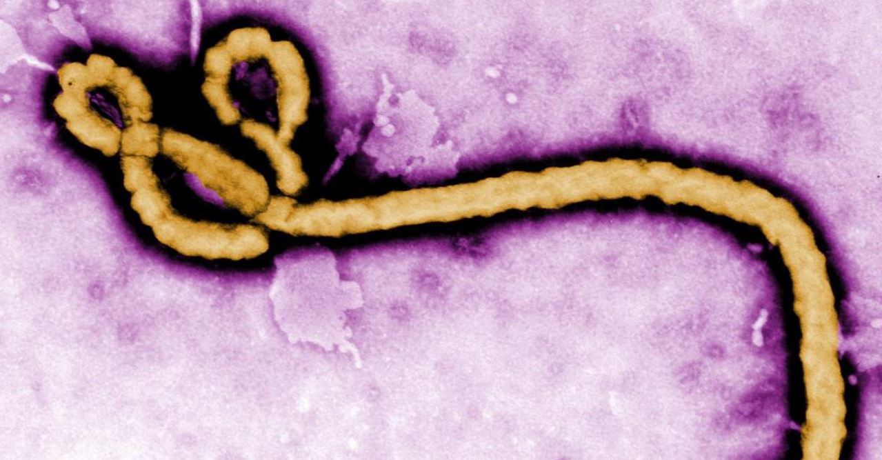 Nuevo brote de ébola en el Congo deja al menos cinco muertos en Mbandaka