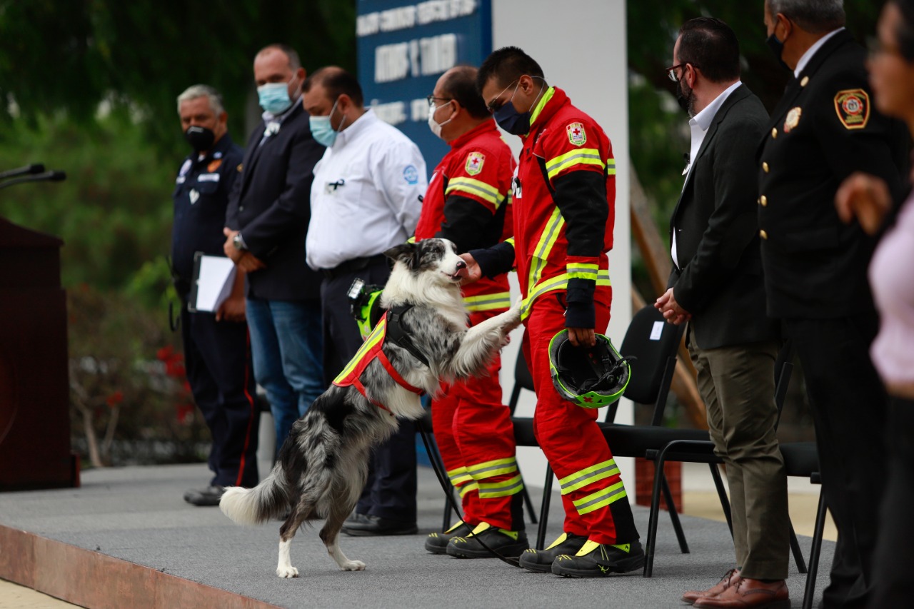 Municipio de Querétaro participó en homenaje a los caninos Athos y Tango
