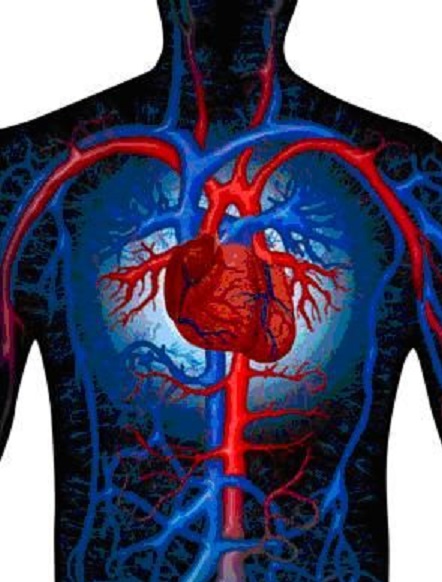 Hipertensión arterial, factor de riesgo cardiovascular frecuente