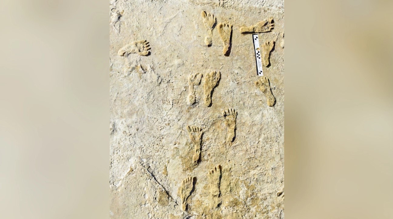 Huellas de 23,000 años de antigüedad adelantan fecha de arribo de humanos a América