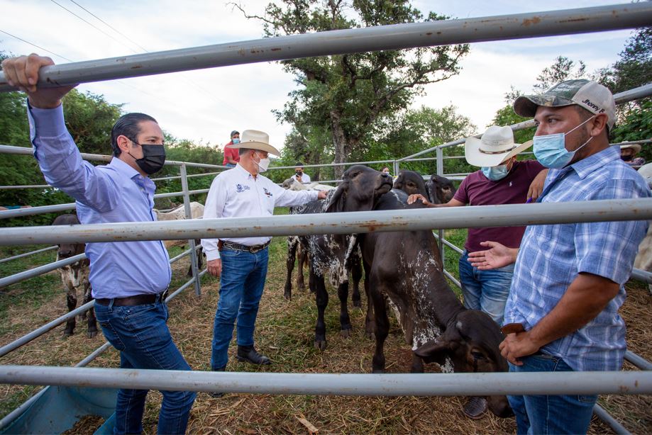 El campo serrano avanza con hechos, afirma Francisco Domínguez en Arroyo Seco