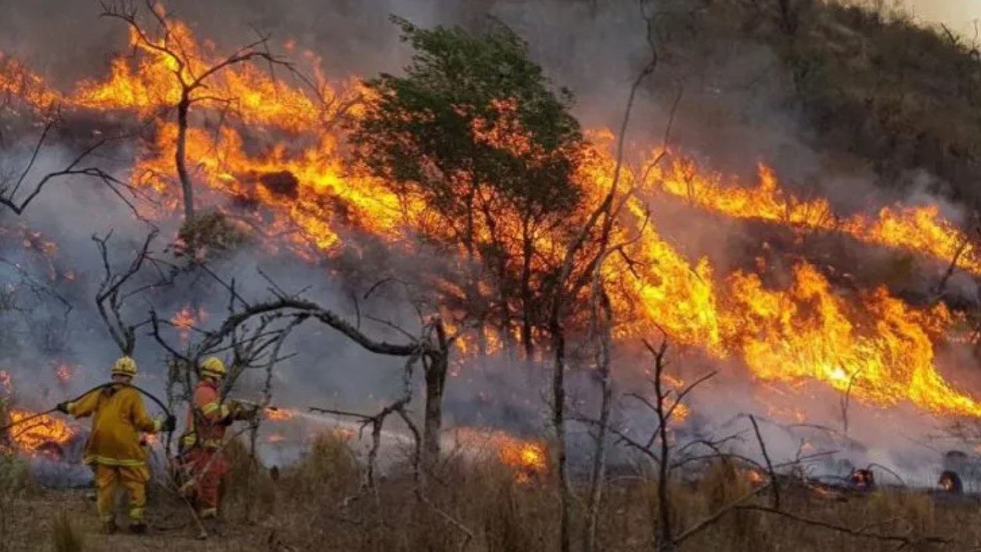 Argentina: Incendios forestales arrasan 30,000 hectáreas