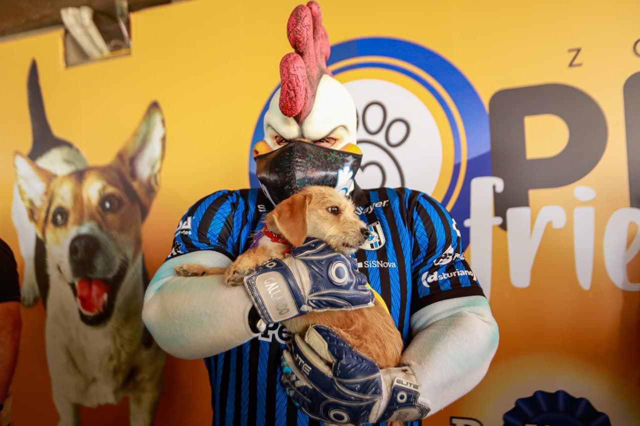 Municipio de Querétaro apoya en la estancia de mascotas en la Zona Pet Friendly del Estadio Corregidora