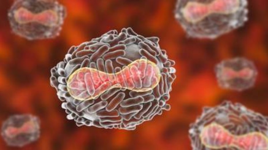 Secretaría de Salud emite aviso epidemiológico de viruela símica