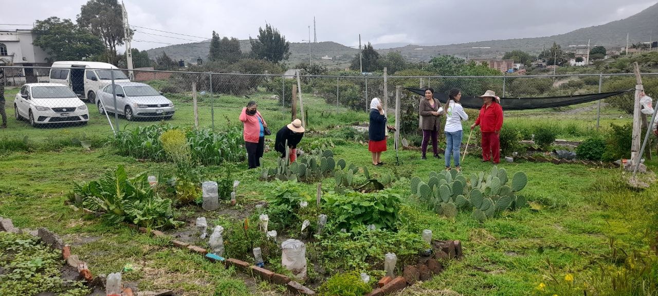 En La Solana, 50 familias participan en el programa de Huerto Comunitario