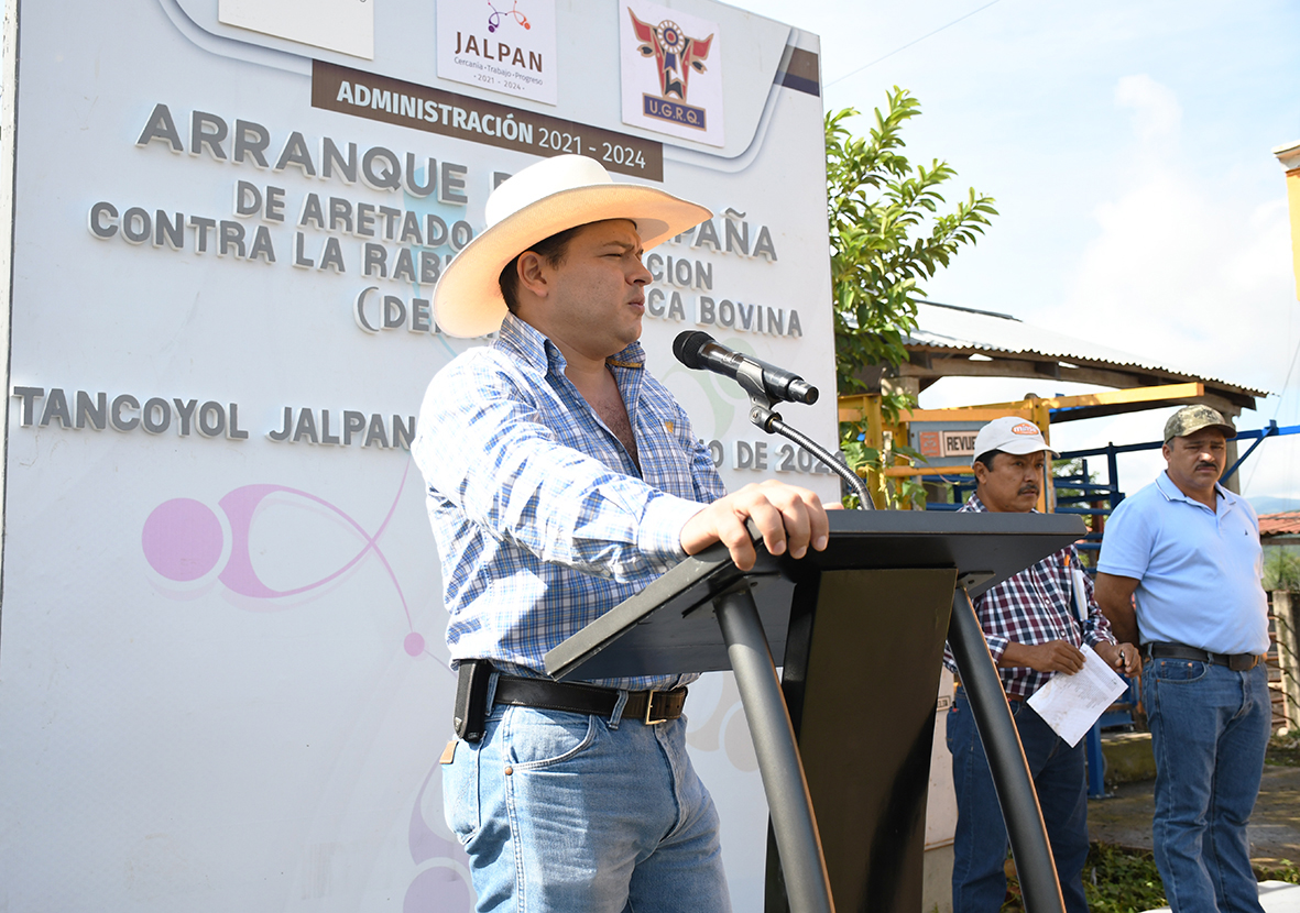 El Gobierno de Jalpan Emprende Campaña de Aretado y Vacunación contra la Rabia Paralítica en Ganado Bovino