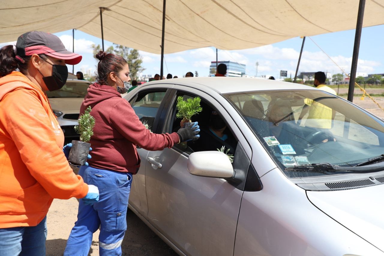21.4 toneladas de residuos de manejo especial captadas en Mega Jornada de Acopio