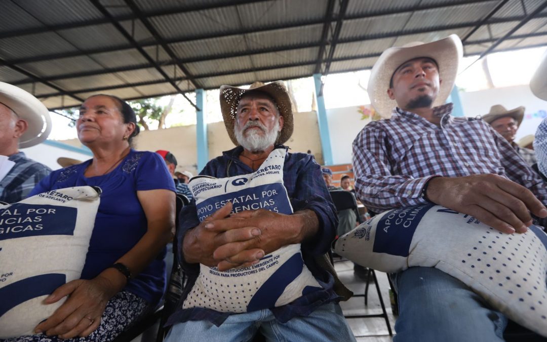 Entrega SEDEA más de 43 toneladas de maíz en Landa de Matamoros