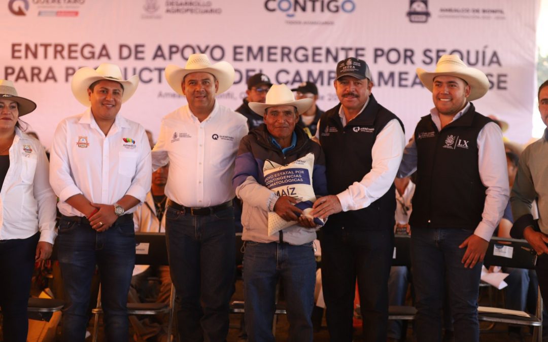 Apoya SEDEA con maíz a tres mil 299 productores de Amealco de Bonfil