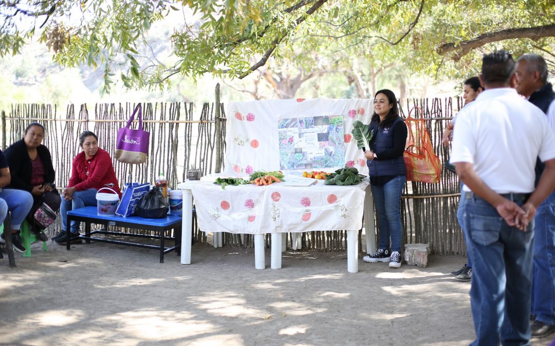 Apoya SEDIF con programas autosustentables a comunidades de 14 municipios