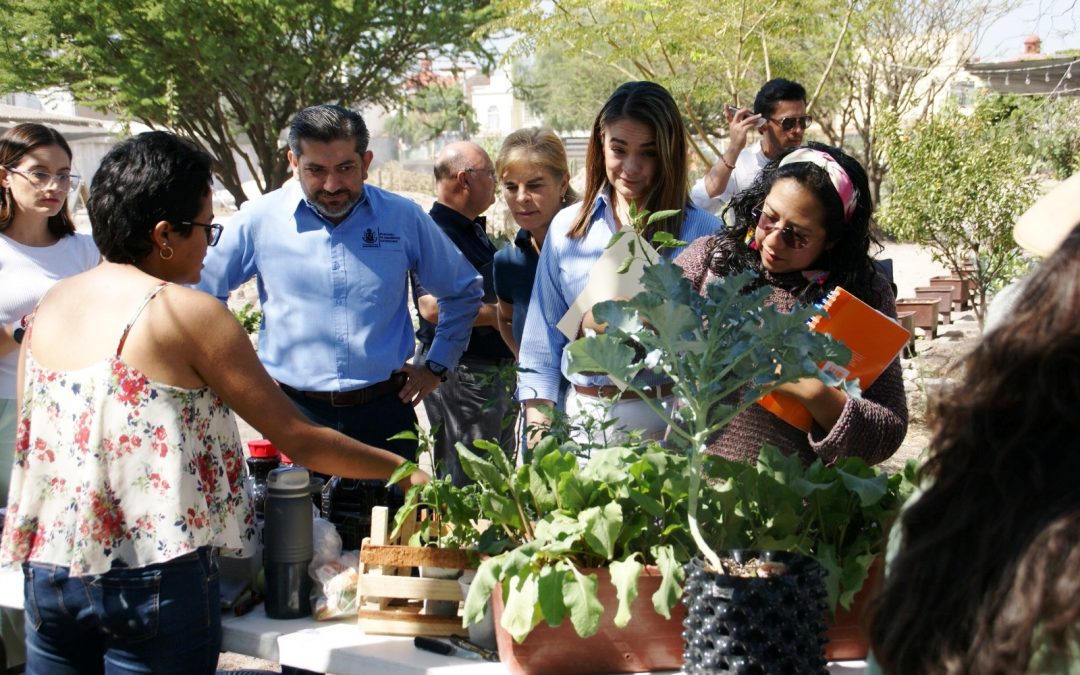 Impulsa SEDESU emprendimiento a través del cuidado del medio ambiente