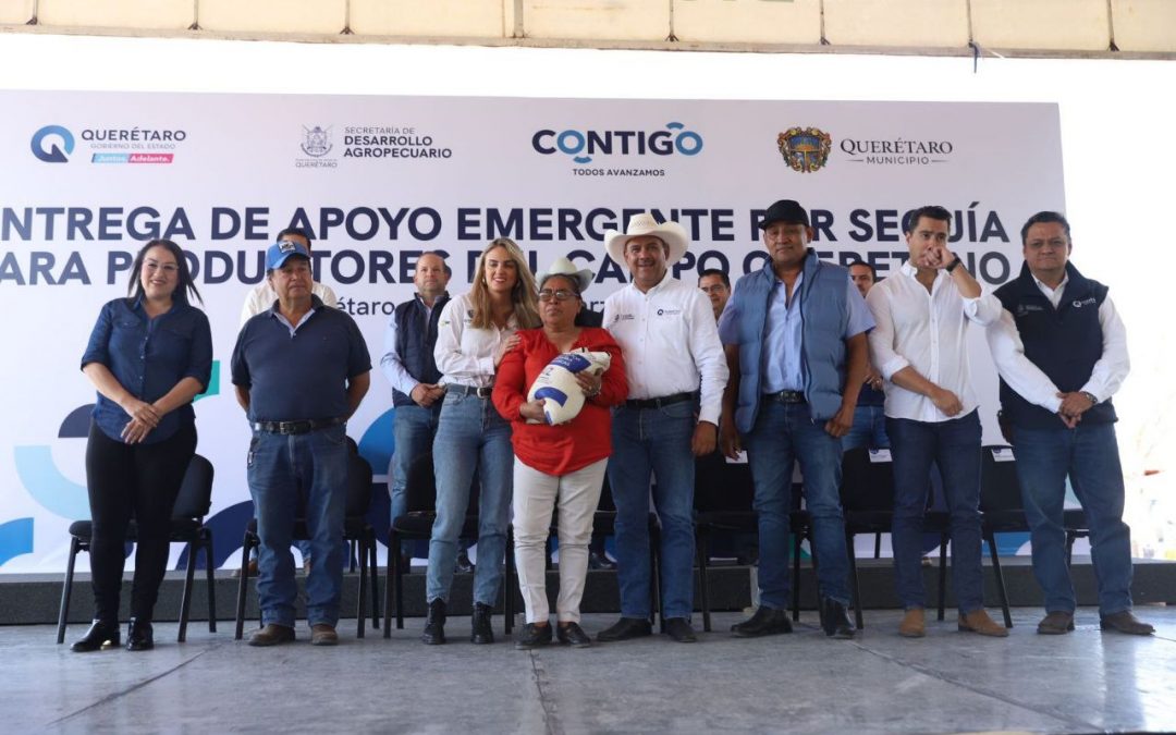 Concluye SEDEA entrega de maíz del Programa de Apoyo Emergente