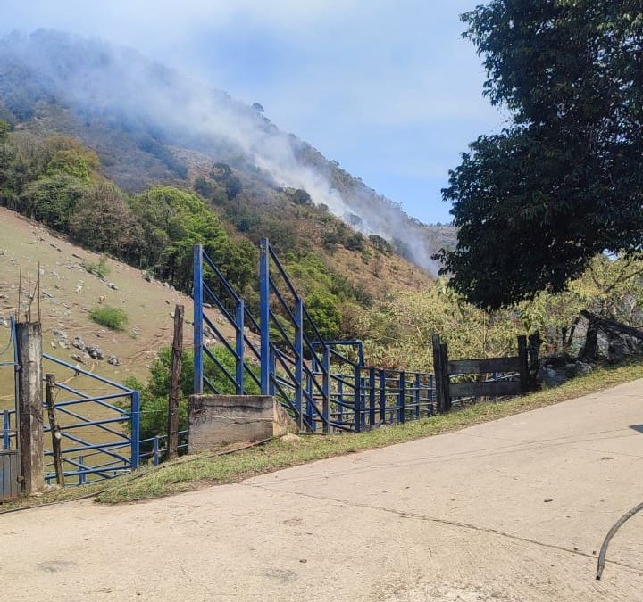 Combaten incendio en Jagüey Colorado