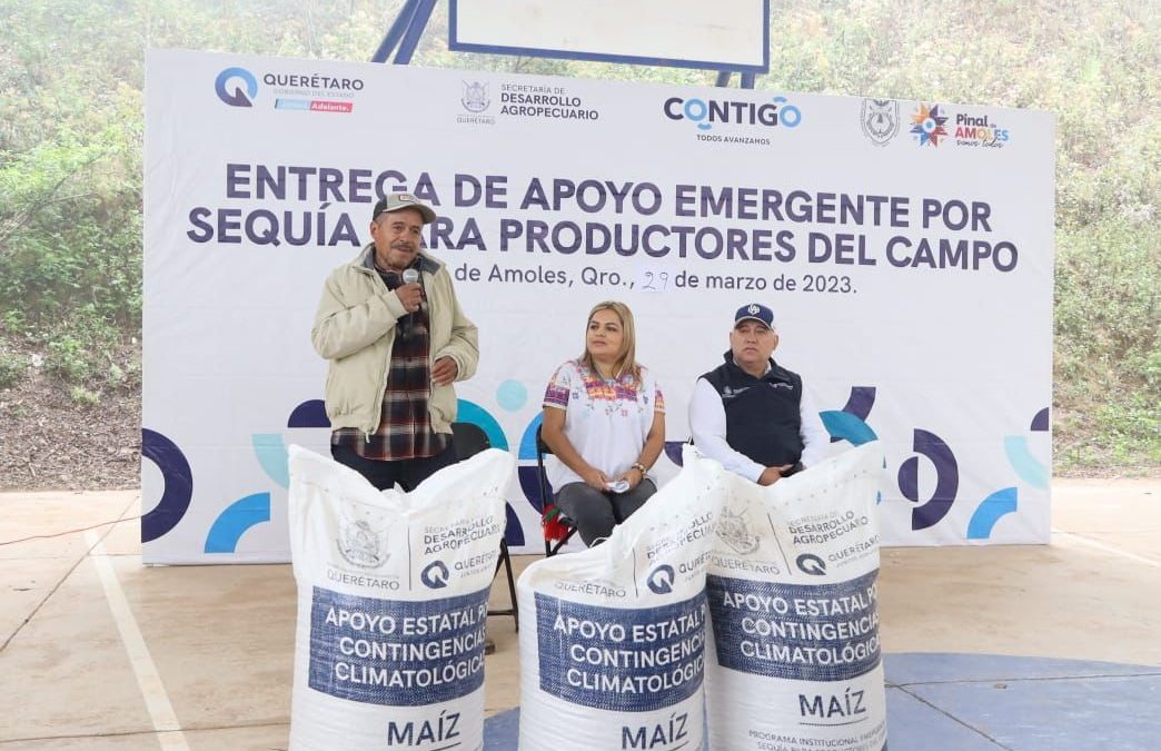 Lupita Ramírez realiza 4ª entrega de apoyo de Maíz a productores pinalenses.
