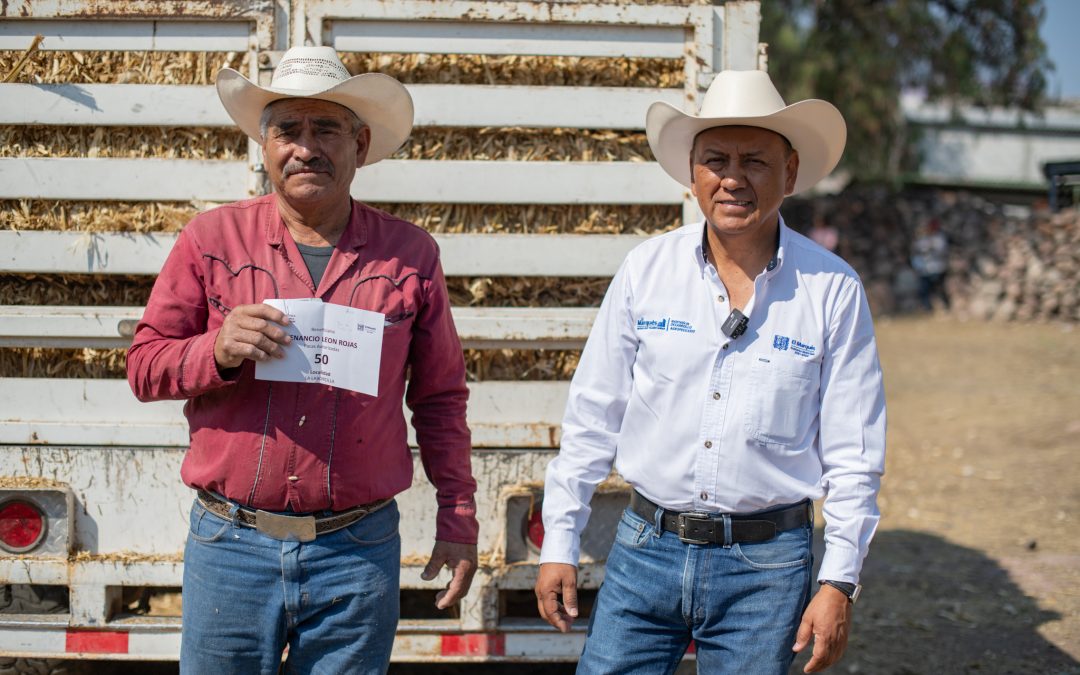 Municipio de El Marqués arranca la entrega de pacas de forraje a productores ganaderos para enfrentar la época de estiaje