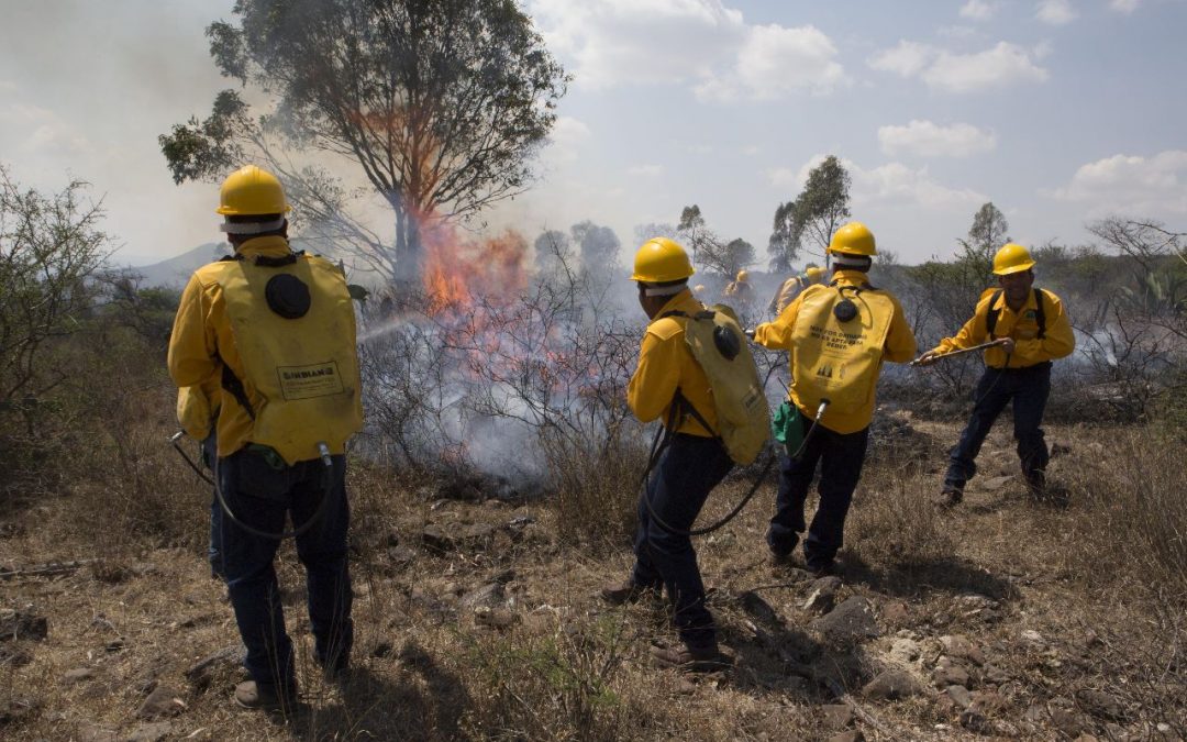 Fortalece SEDEA el combate a incendios forestales