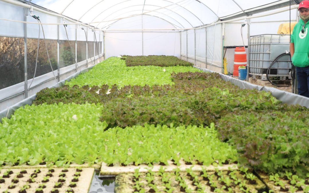 SEDEA fortalece a productores acuícolas en Querétaro