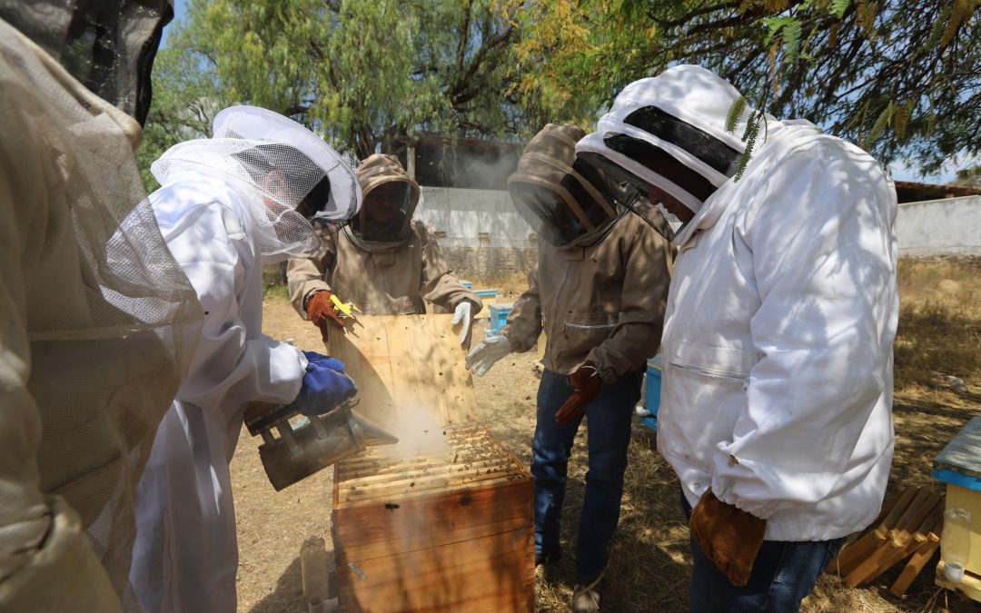 Atiende SEDEA a apicultores de Querétaro