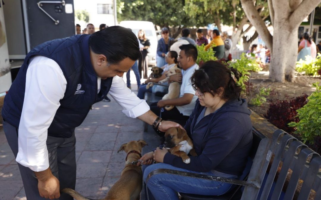 Hacemos la diferencia para que las familias vivan mejor en el Querétaro que queremos: Luis Nava