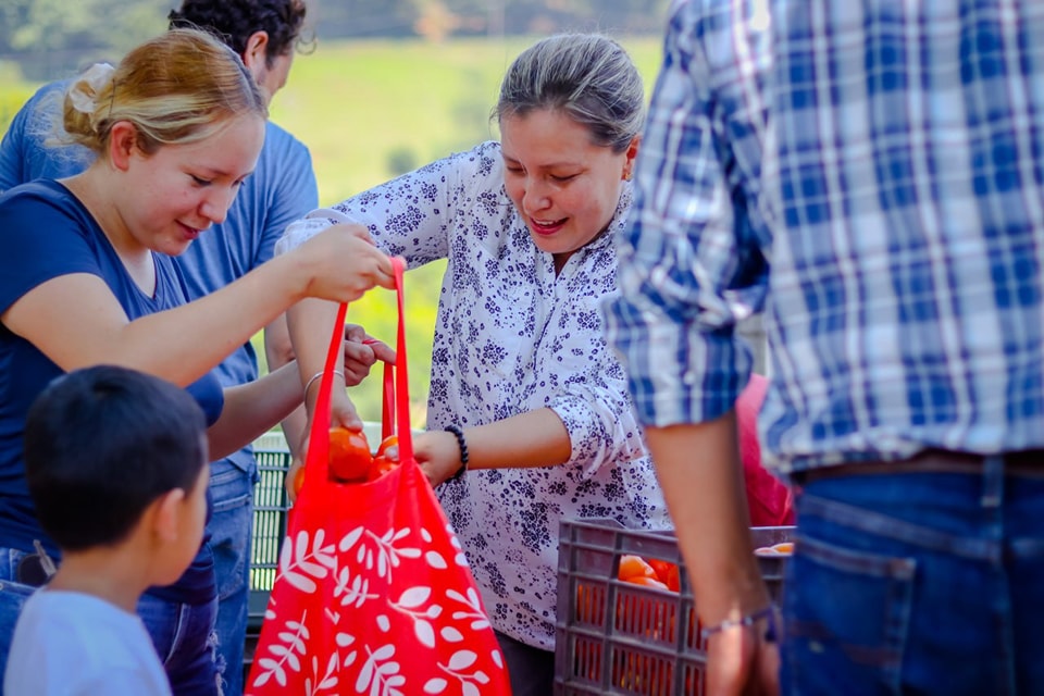 Se realiza entrega de frutas y verduras del programa «Por Tu Economía Familiar» en la comunidad de Potrero del Llano
