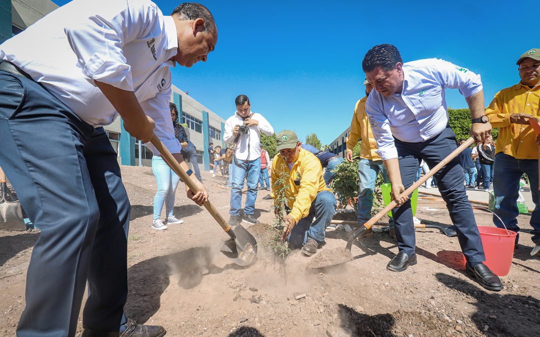 Reforesta SEDEA la Universidad Tecnológica de San Juan del Rio