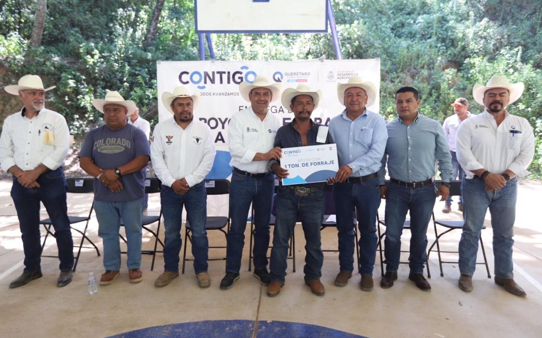 Entrega titular de SEDEA forraje a ganaderos en la Sierra Gorda