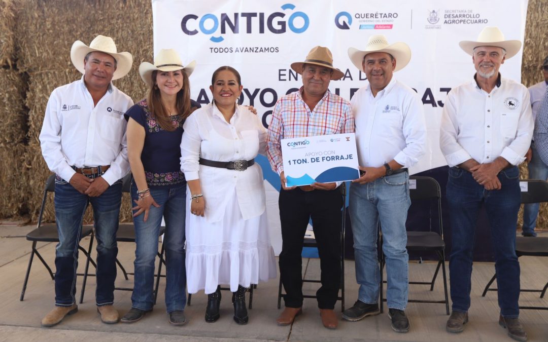Entrega titular de la SEDEA forraje a ganaderos del Semidesierto