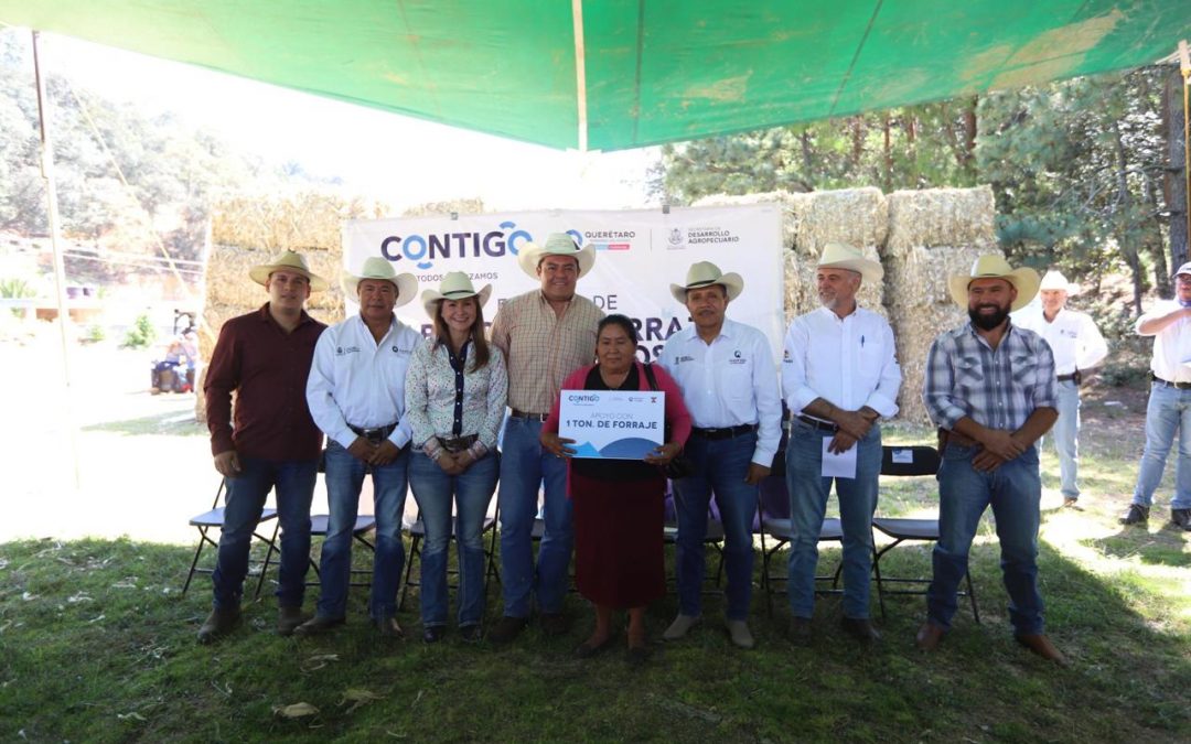 Entrega SEDEA forraje a ganaderos de San Joaquín