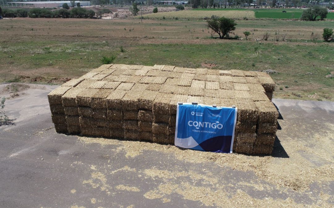 Entrega SEDEA más de 200 toneladas de forraje a ganaderos de Huimilpan y El Marqués