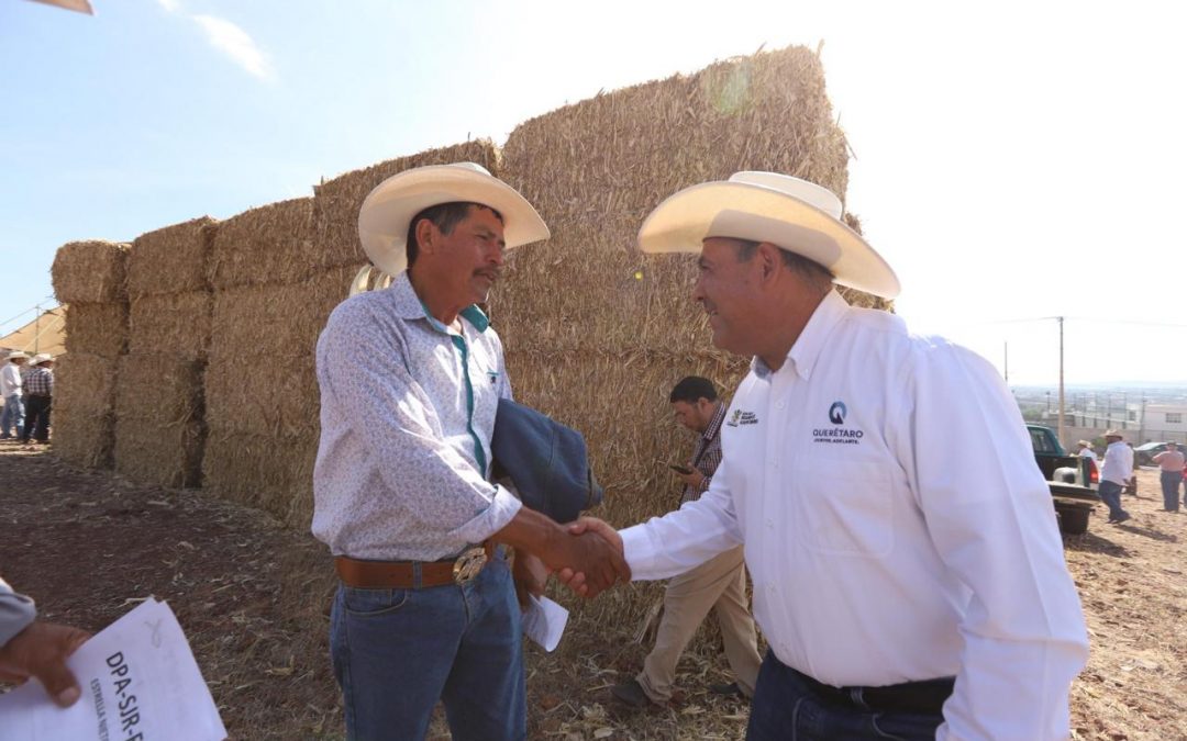 Entrega de pacas de forraje registra 85% de avance