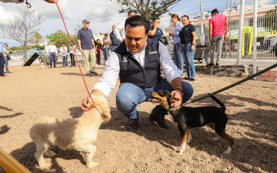 Entrega Luis Nava el nuevo Parque Canino en avenida del Parque