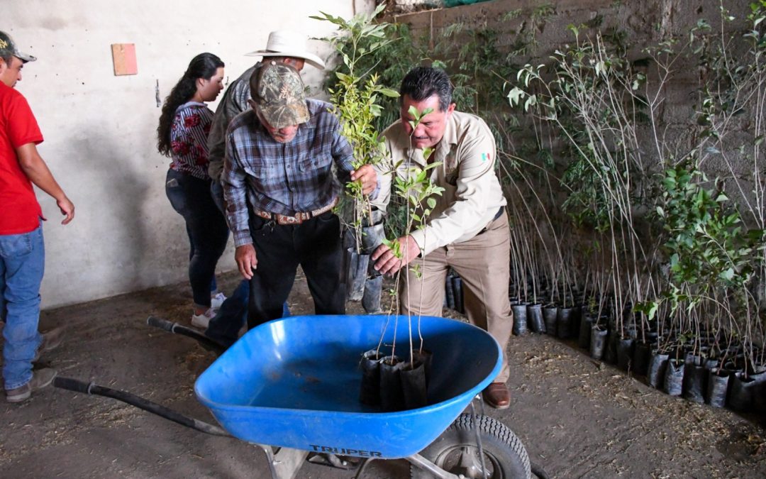 Cultivando Futuros Verdes: Entrega de Árboles a Socios Ganaderos
