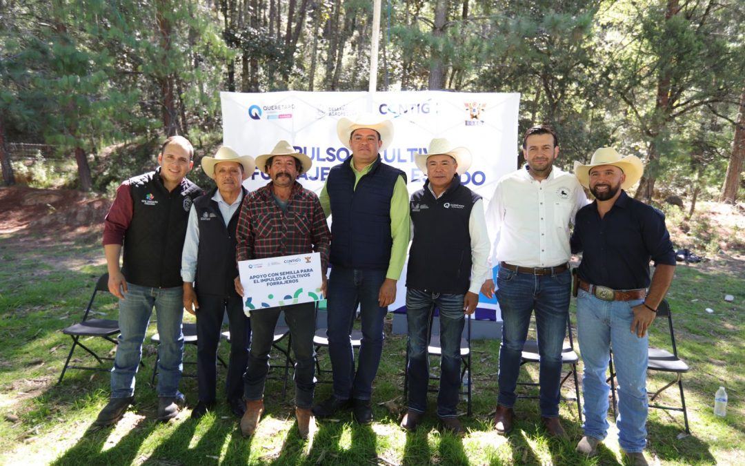 Fortalece SEDEA a productores de San Joaquín