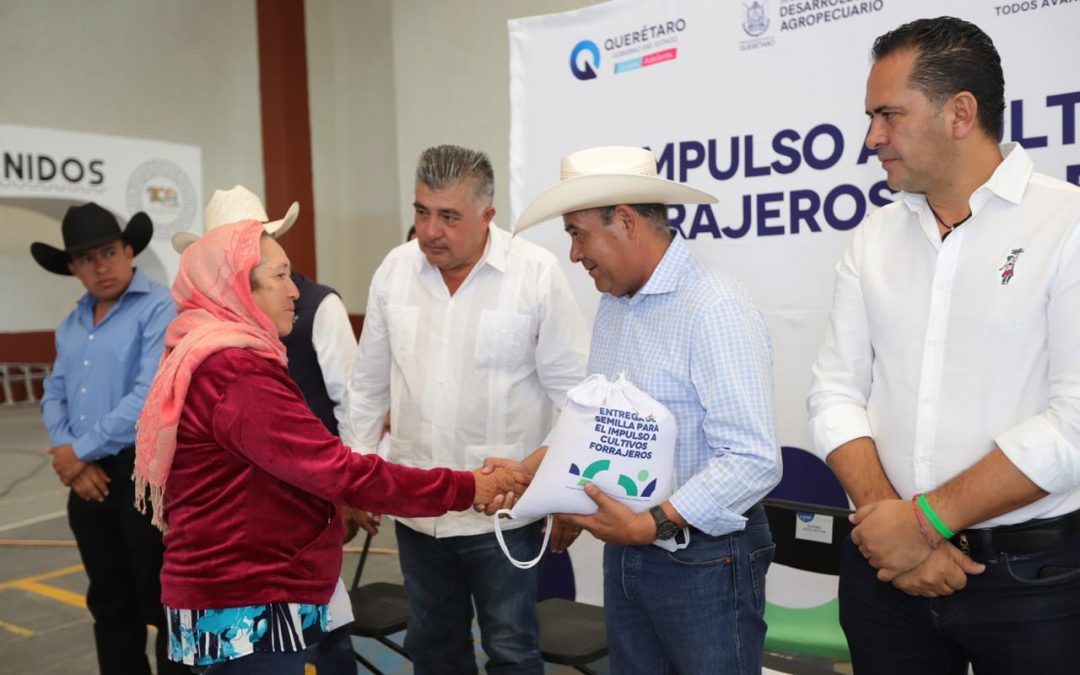 Concluye SEDEA programa emergente de semilla en los 18 municipios