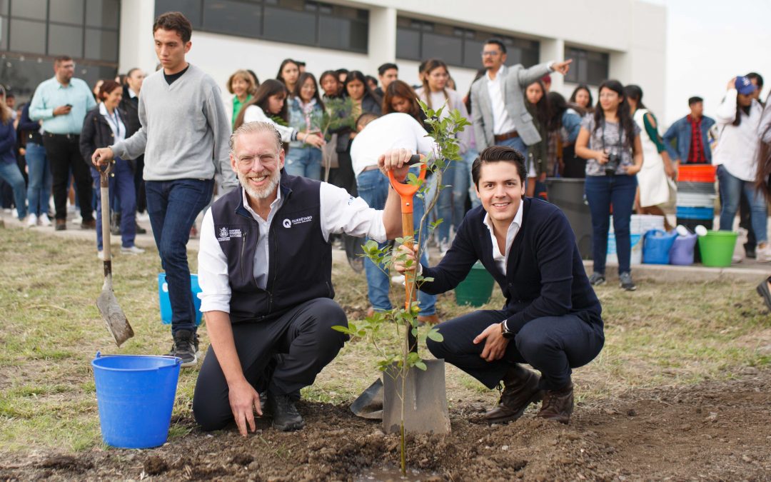 Crean SEDESU, PEPMADU y UPQ bosque universitario