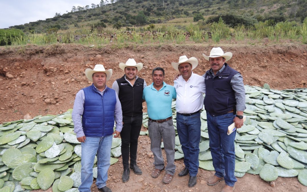 Promueve SEDEA siembra de nopal como cultivo alternativo