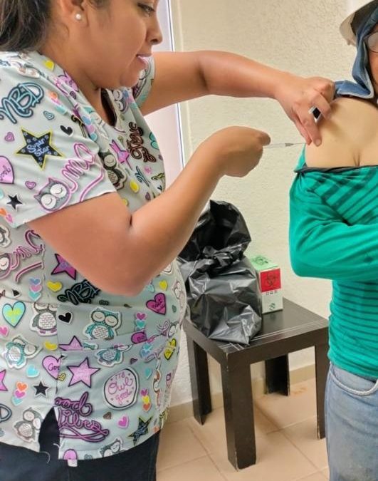 Se han aplicado 333 mil 669 dosis de vacuna contra influenza: SESA