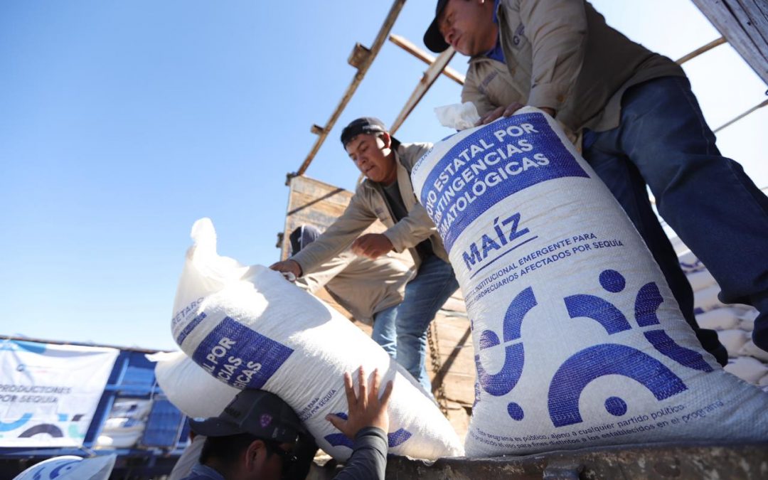 Apoya SEDEA a casi mil 500 productores de la capital queretana con maíz