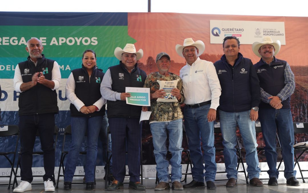 Realiza SEDEA una segunda entrega de maíz para consumo humano en Huimilpan