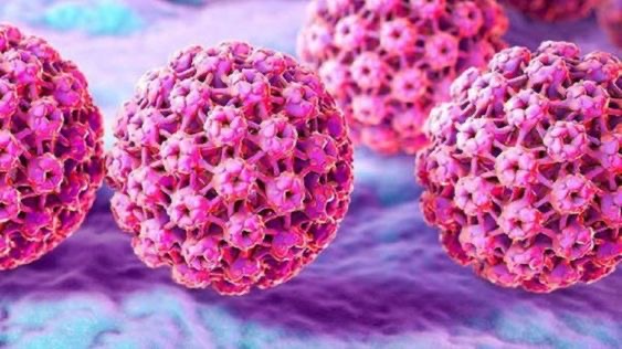 Se suma SESA a la conmemoración del Día Internacional de Concienciación sobre el Virus de Papiloma Humano