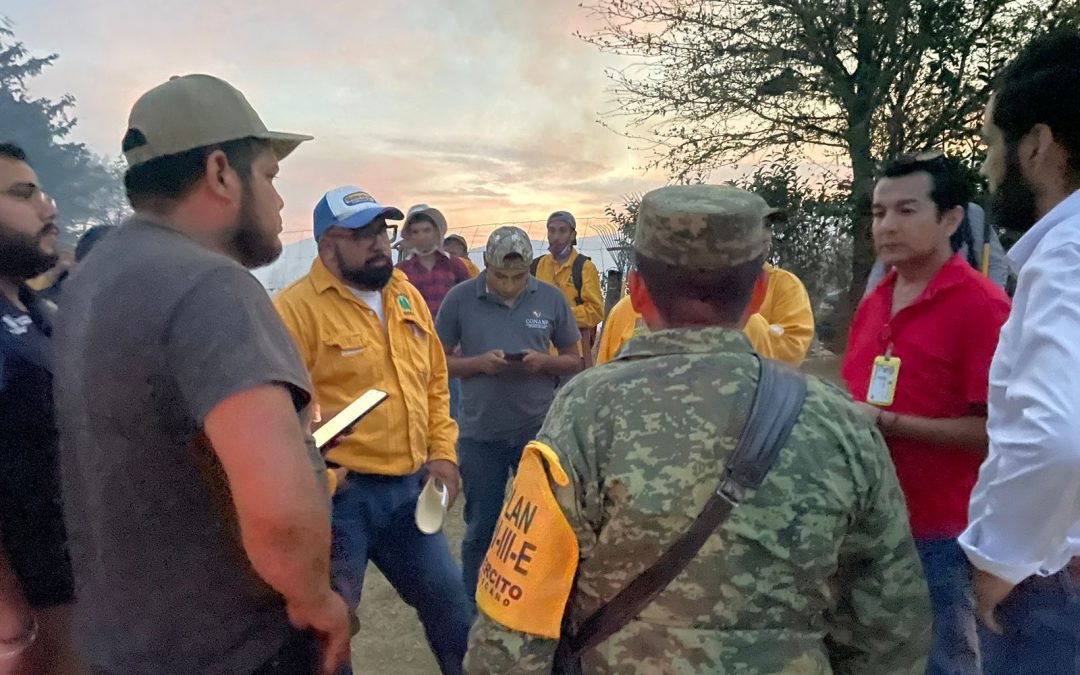 Avanza control de incendio en Pinal de Amoles mediante labores coordinadas interinstitucionales