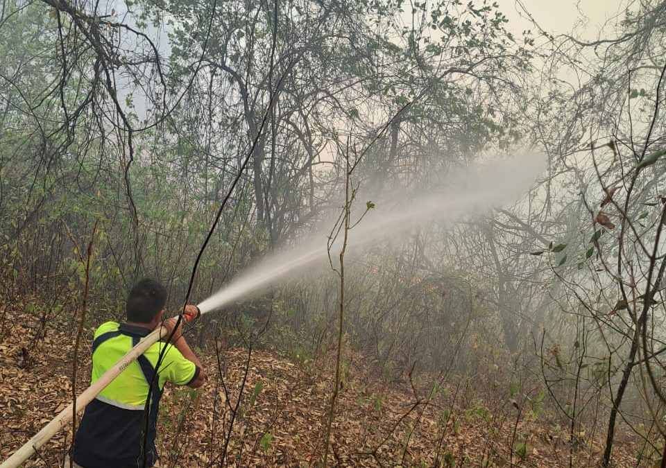Protección Civil y Gobierno Municipal de Pinal de Amoles agradece apoyo de la comunidad y corporaciones en combate al incendio forestal.