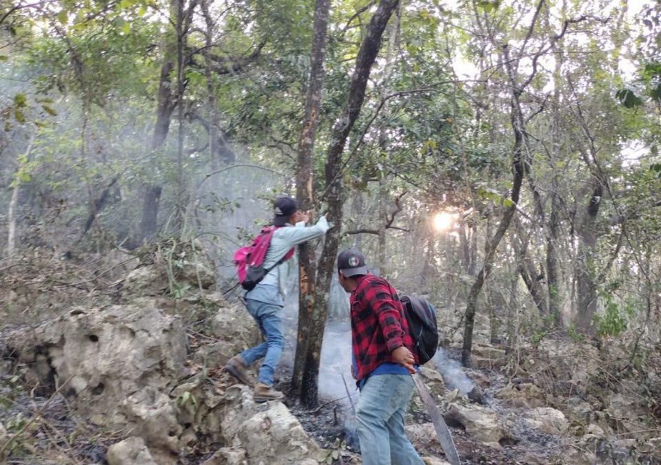 Incendio en Rancho Nuevo Bajo Control