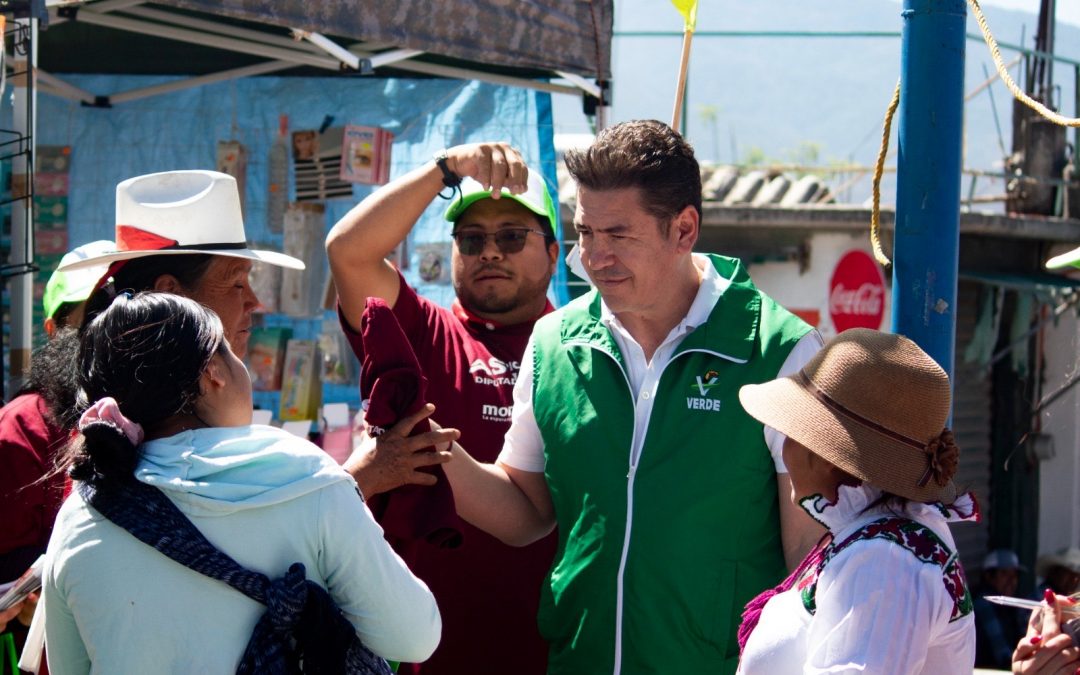 Gestionaremos la determinación de áreas naturales protegidas, zonas boscosas y proyectos de reforestación y restauración en Amealco: Astudillo