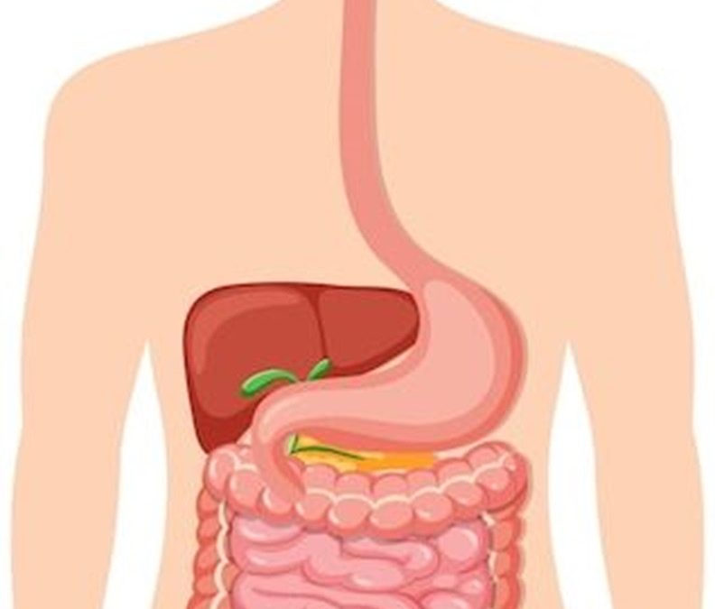 Conmemora la Secretaría de Salud el Día Mundial de la Salud Digestiva