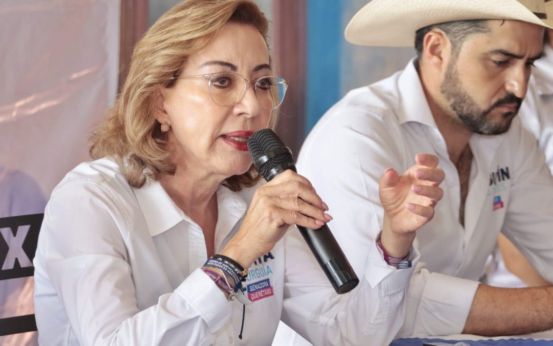 Gestionará Lupita Murguía tarifa reducida de luz para la Sierra