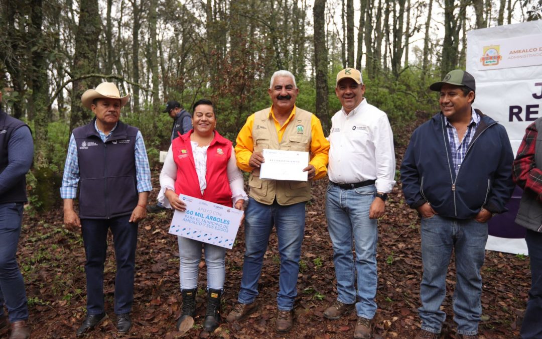 Reforesta SEDEA en comunidades de Amealco