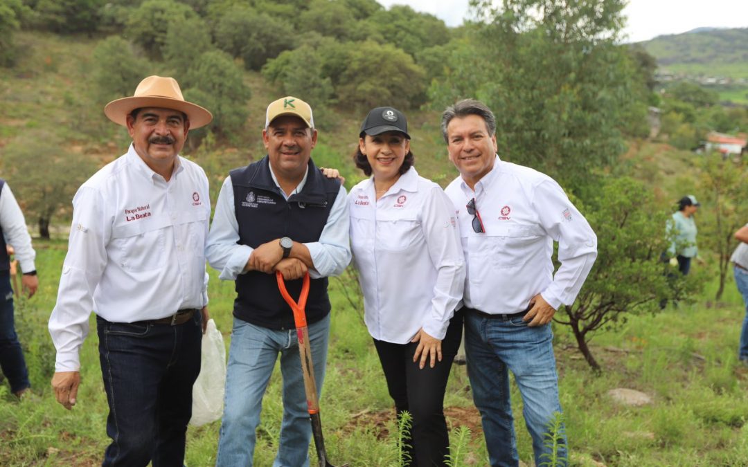 Continúa SEDEA reforestación en Parque La Beata